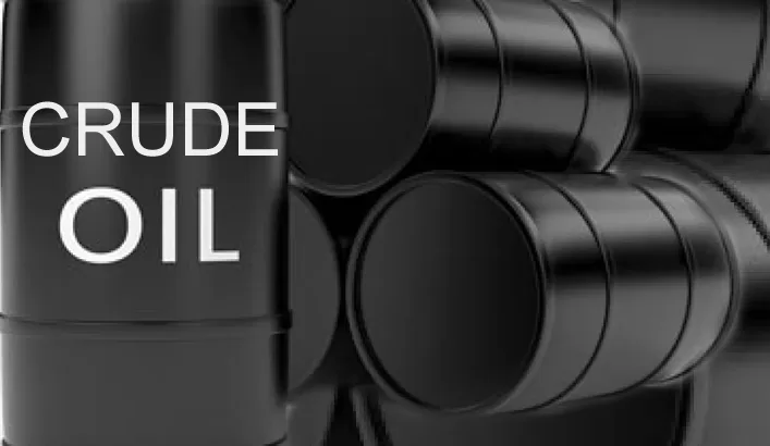 TRUMP'S ERRATIC POLICIES RESPONSIBLE FOR FALL IN CRUDE OIL PRICE - NIGERIAN REGULATORY AGENCY