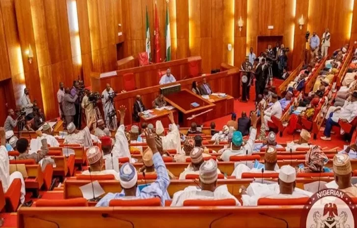 SENATE GIVES NNPCL BOSS 10 DAYS DEADLINE TO ACCOUNT FOR MISSING N200TRN