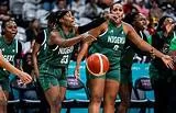LIKE FALCONS, D'TIGRESS GET NATIONAL HONOURS, $100,000 EACH FOR AFROBASKET TRIUMPH
