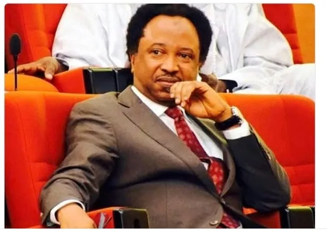 REJOINDER TO; "SUPPORT FOR OBI TRIBALISTICK"            (SHEHU SANI)