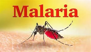WHY MANY PEOPLE THINK THEY HAVE MALARIA WHEN THEY DON'T